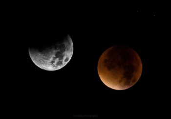 0048_Mondfinsternis-2015-II