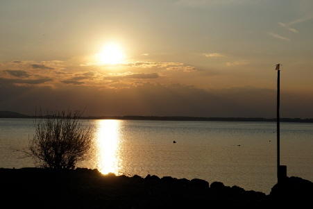 SK2IMG_20190416_202744_460