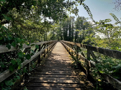 SK2IMG_20200629_081934_175